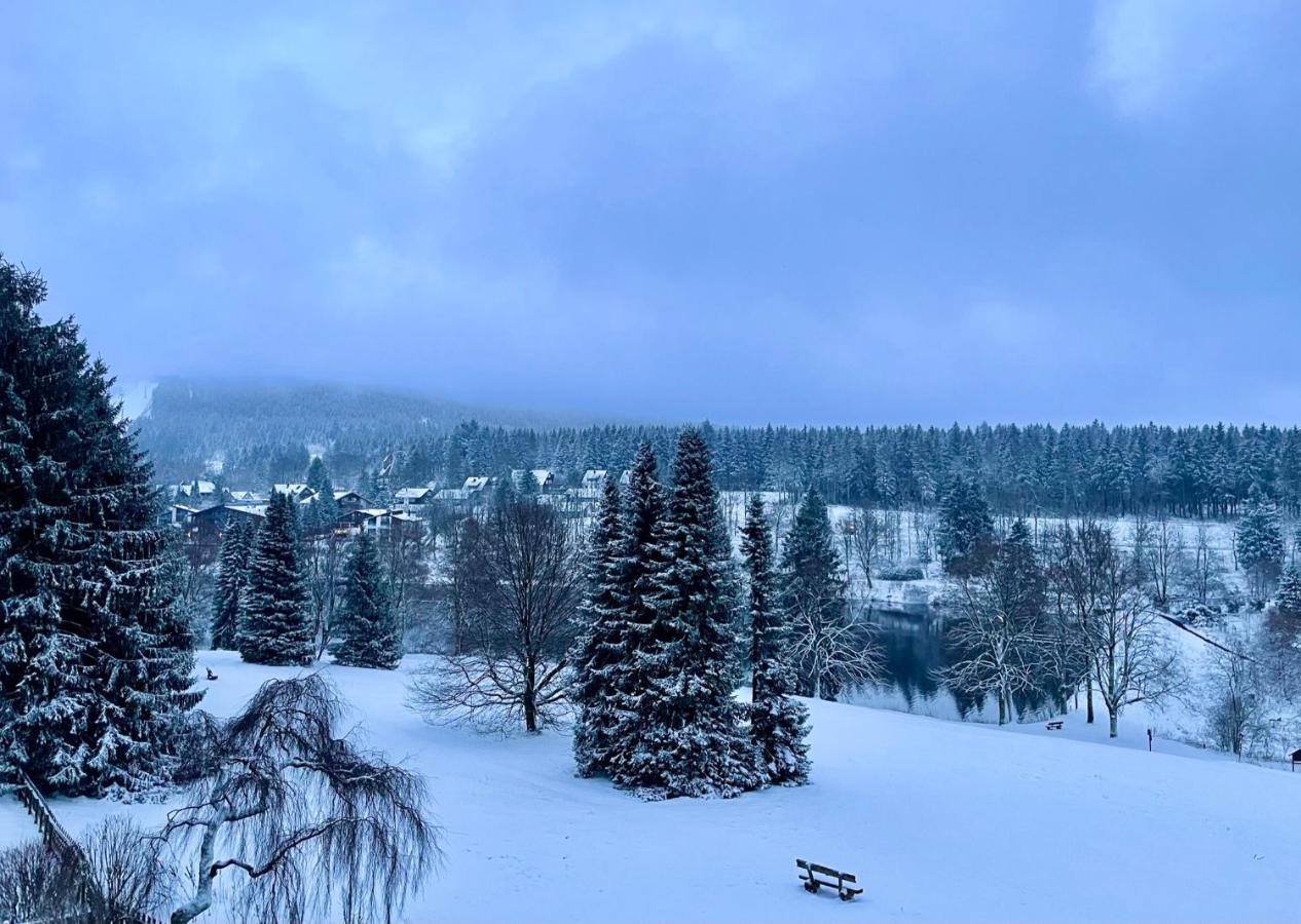 Ferienwohnung Harzurlaub Goslar Esterno foto